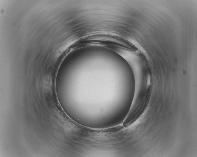 X0000088430969200705221243