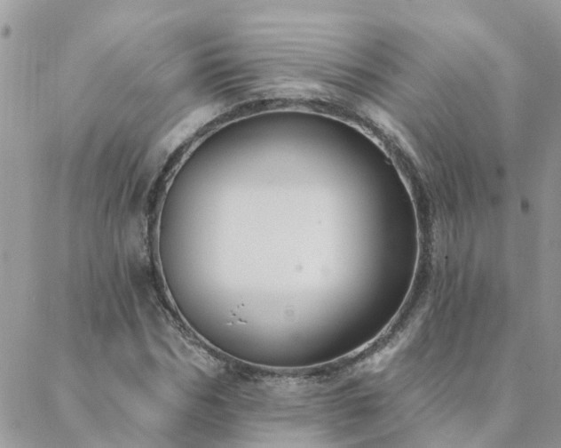 X0000088430970200705221243