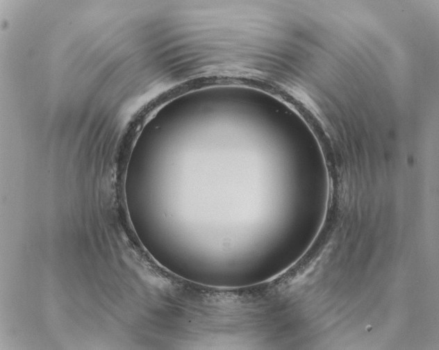 X0000088430971200705221243