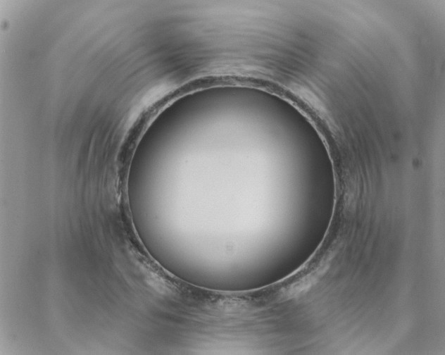 X0000088430974200705221243