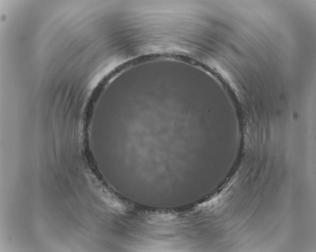 X0000088430975200705221243