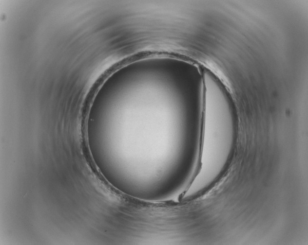 X0000088430976200705221243