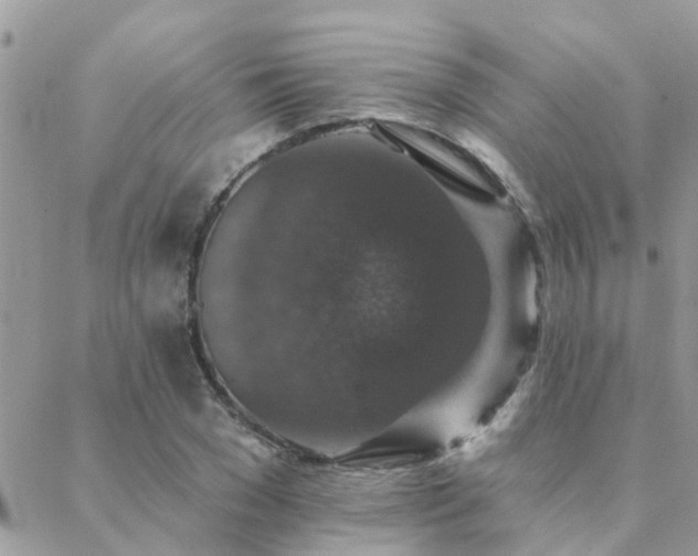 X0000088430977200705221243