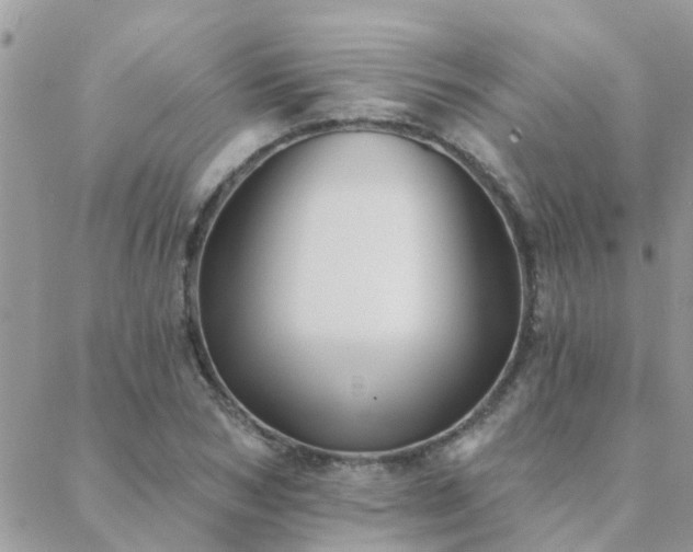 X0000088430978200705221243