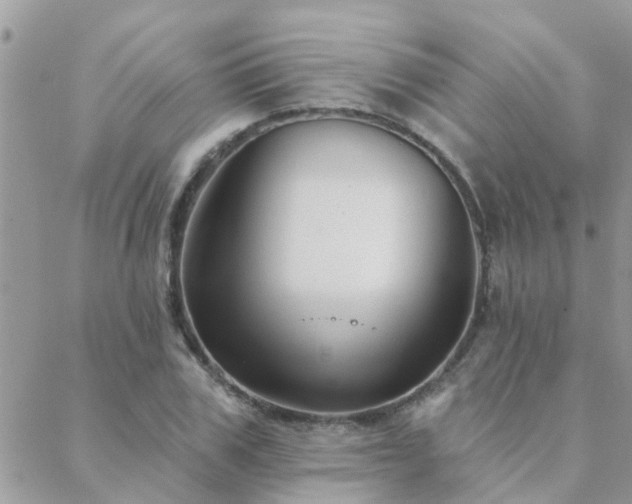 X0000088430979200705221243