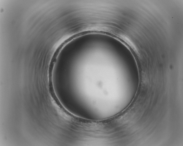 X0000088430980200705221243