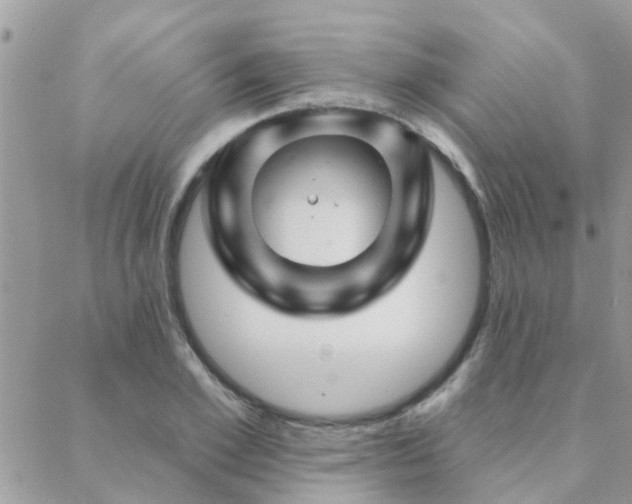 X0000088430981200705221243