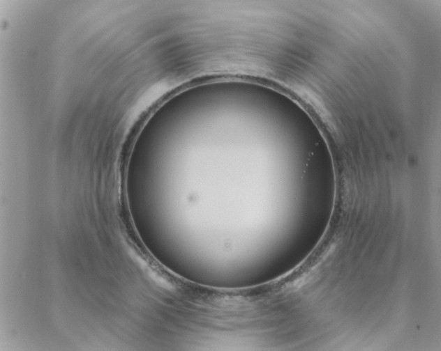 X0000088430982200705221243