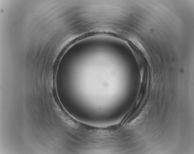 X0000088430984200705221243