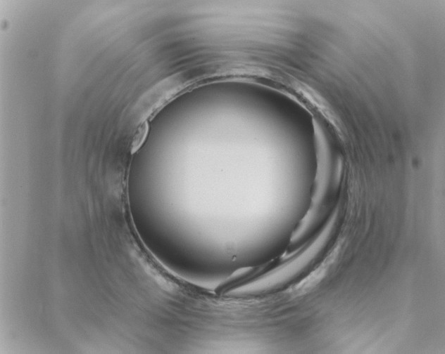 X0000088430985200705221243