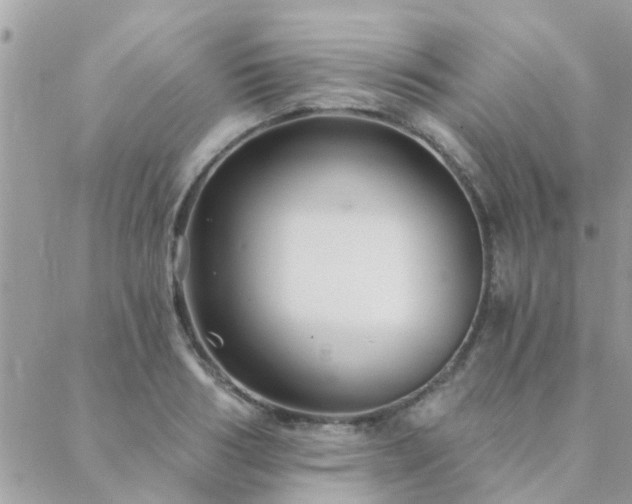 X0000088430986200705221243