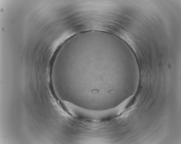 X0000088430987200705221243