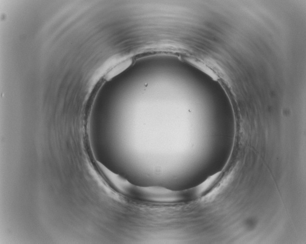 X0000088430989200705221243