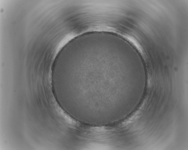 X0000088430990200705221243