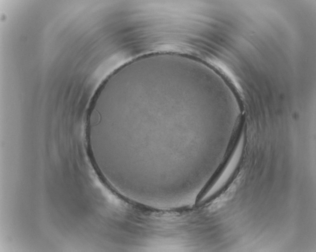 X0000088430991200705221243