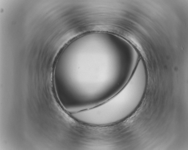 X0000088430992200705221243