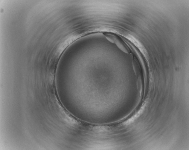 X0000088430993200705221243