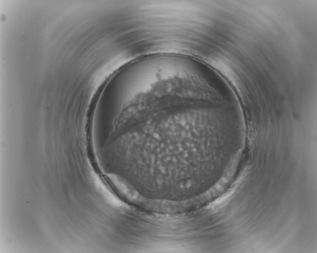 X0000088430995200705221243