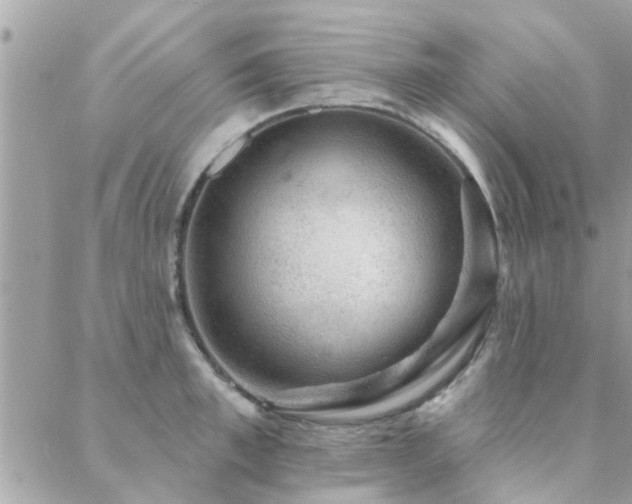 X0000088430997200705221243