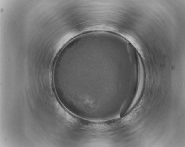 X0000088430998200705221242