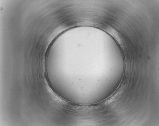 X0000088431000200705221242