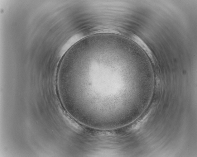 X0000088431002200705221242