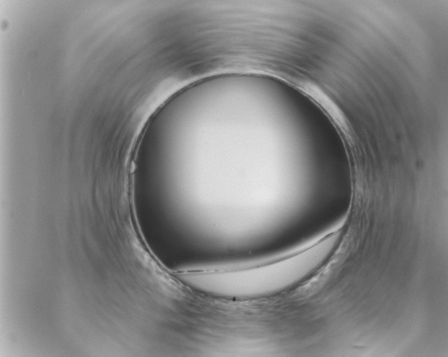 X0000088431004200705221242