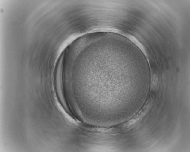 X0000088431005200705221242