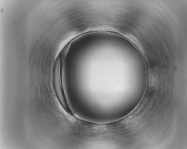 X0000088431006200705221242