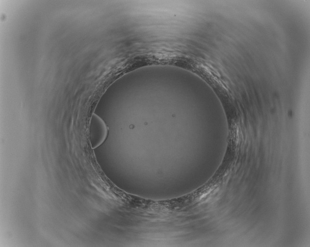 X0000088431009200705221242