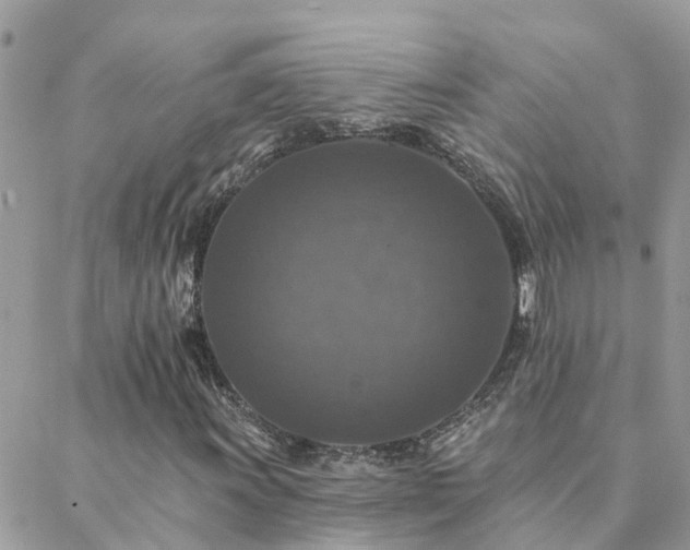 X0000088431011200705221242