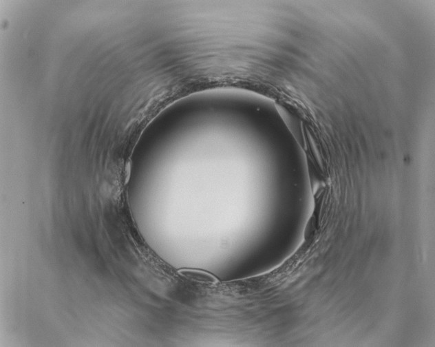 X0000088431012200705221242