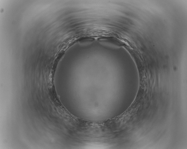 X0000088431013200705221242