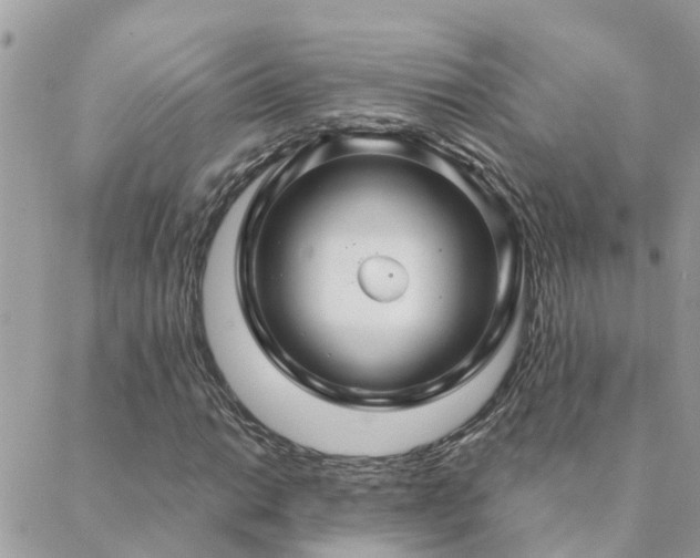 X0000088431014200705221242