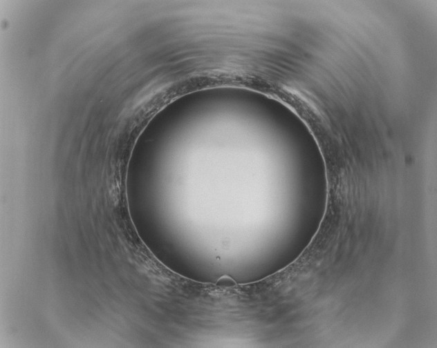 X0000088431015200705221242