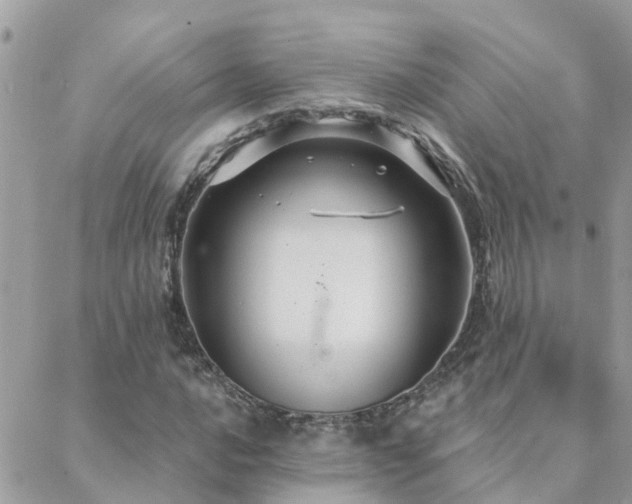 X0000088431016200705221242