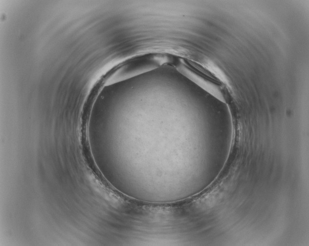 X0000088431020200705221242