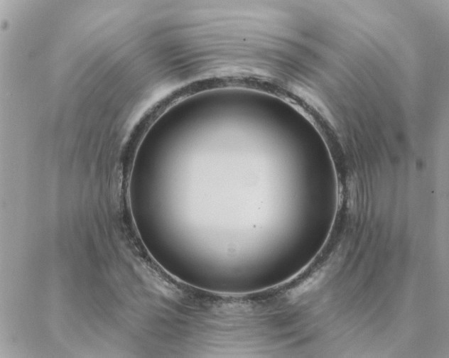 X0000088431021200705221242