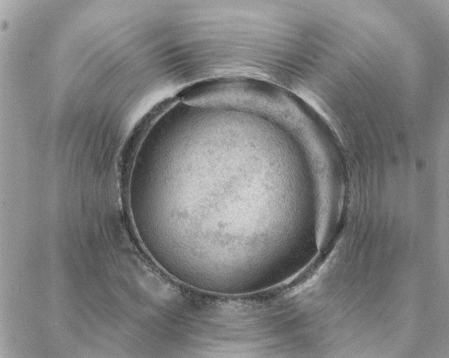 X0000088431022200705221242