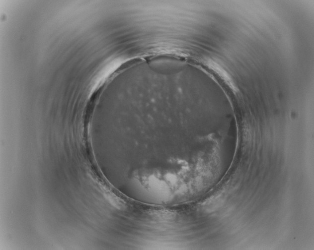 X0000088431023200705221242