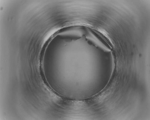 X0000088431024200705221242