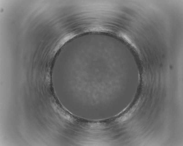 X0000088431025200705221242