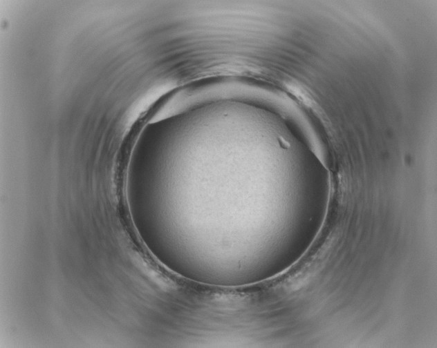 X0000088431026200705221242