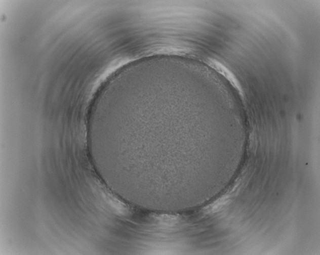 X0000088431027200705221242