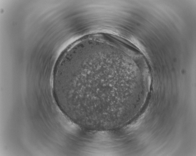 X0000088431028200705221242