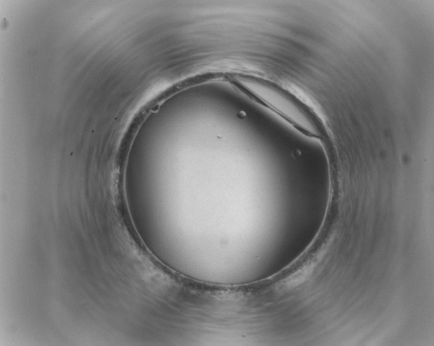 X0000088431029200705221242