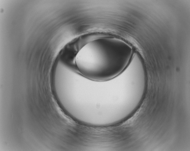 X0000088431030200705221242