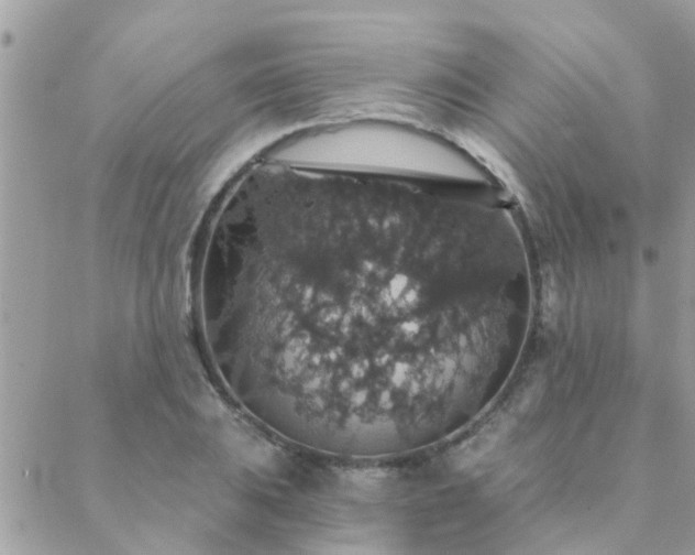 X0000088431031200705221242