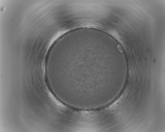 X0000088431032200705221242