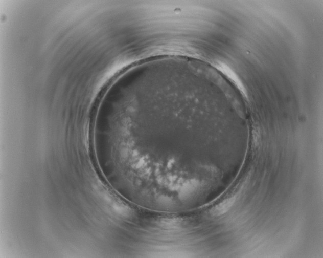 X0000088431035200705221242